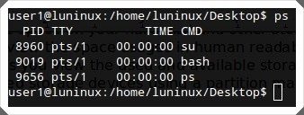 29 Câu lệnh Linux bạn cần biết - Phần 2